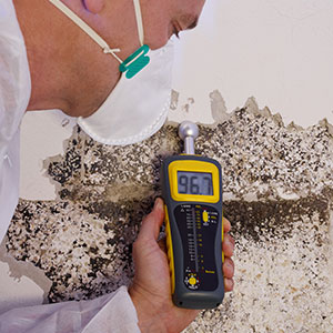 Toxic Mold Symptoms in New Orleans Buildings | Gertler Law Firm